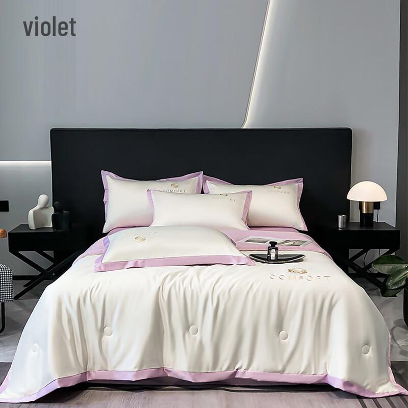 

Premium Washed Ice Silk Summer Air-Conditioning Quilt