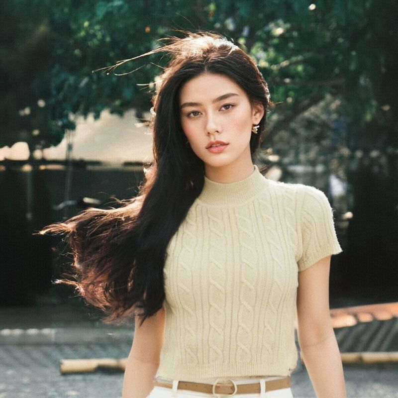 Half-high Collar Short Sleeve Short Twist Solid Knit Sweater Bottoming Shirt Pullover Autumn and Winter Women Clothes