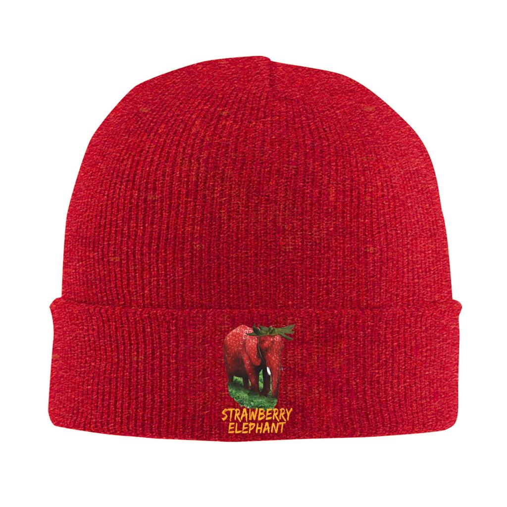 Italiaanse Aardbei Olifant Meme Mutsen Bonnet Hoeden Mannen Vrouwen Y2K Cool Outdoor Sport Gebreide Muts Lente Grafisch Warme Petten