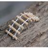 Handmade Wood Fence Palisade Miniature Fairy Garden Home Houses Decoration Mini Craft Micro Landscaping Decor DIY Accessories