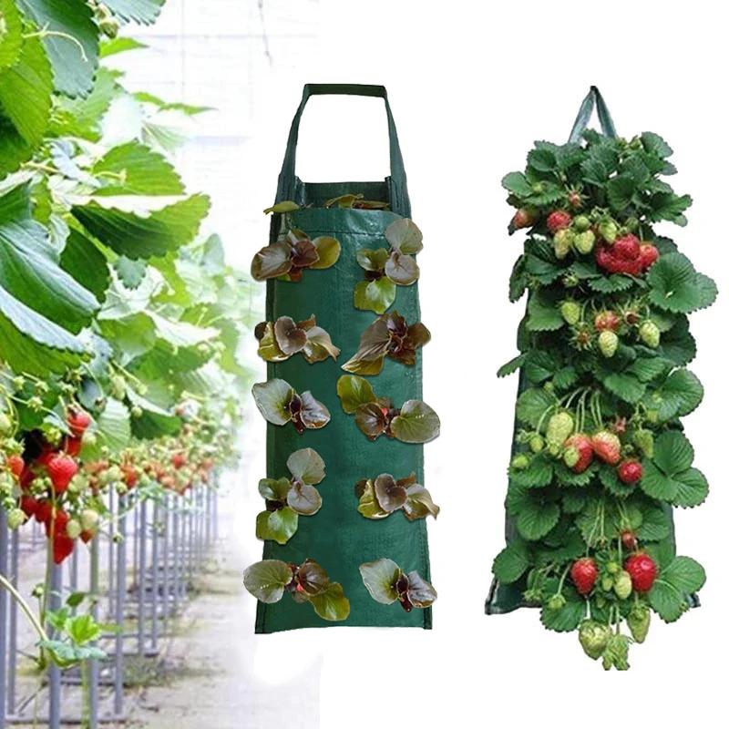 Hanging Plant Grow Bag Strawberry Flower Vertical Grow Bag Garden Plant Container Pe Seedling Nursery Bag Planter Accessories
