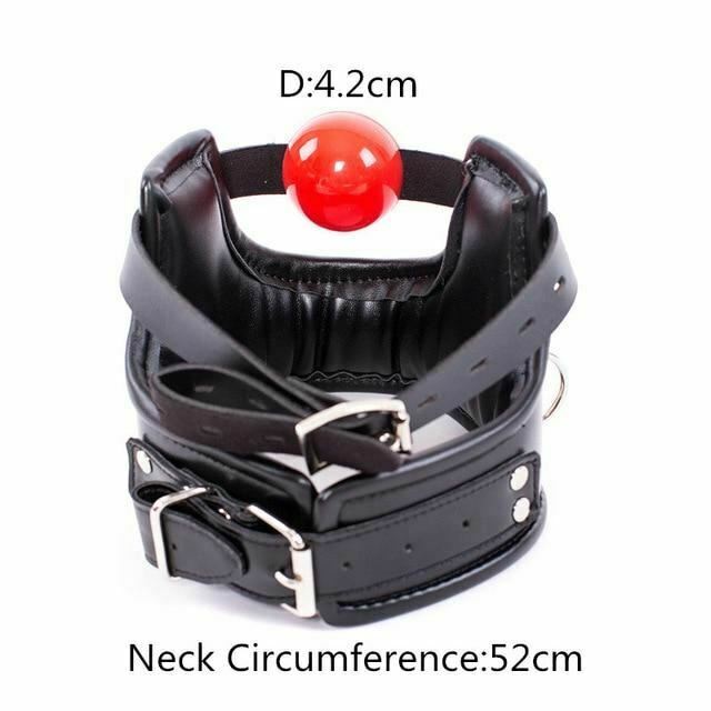 Soft Padded Collar Head Harness With Red Ball Gag  Toys Collars & Leashes