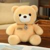 25cm Kawaii Bunte Fliege Bär Puppe Plüschtier Stofftier Bär mit Rose Tierpuppe Geburtstagsgeschenk Kissen für Mädchen Kinder