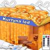 Christmas Tree Lights Large Light Curtain 3X3M Dense LED Lights