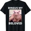 Funny Bingus My Beloved Hairless Sphinx Cat Bingus Cat Meme T-Shirt for Men Women Girls Kids
