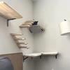 Solid Wood Wall-mounted Cat Tree Sisal Ladder  Cat Hammock Scratching Post. Suitable for Cats To Play and Rest.
