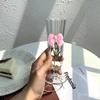 Pink Bow Shaped Tall Glasses Glass Horns Champagne Fruit Wine Glasses, Fruit Juice , Coffee Cups, High Aesthetic Value