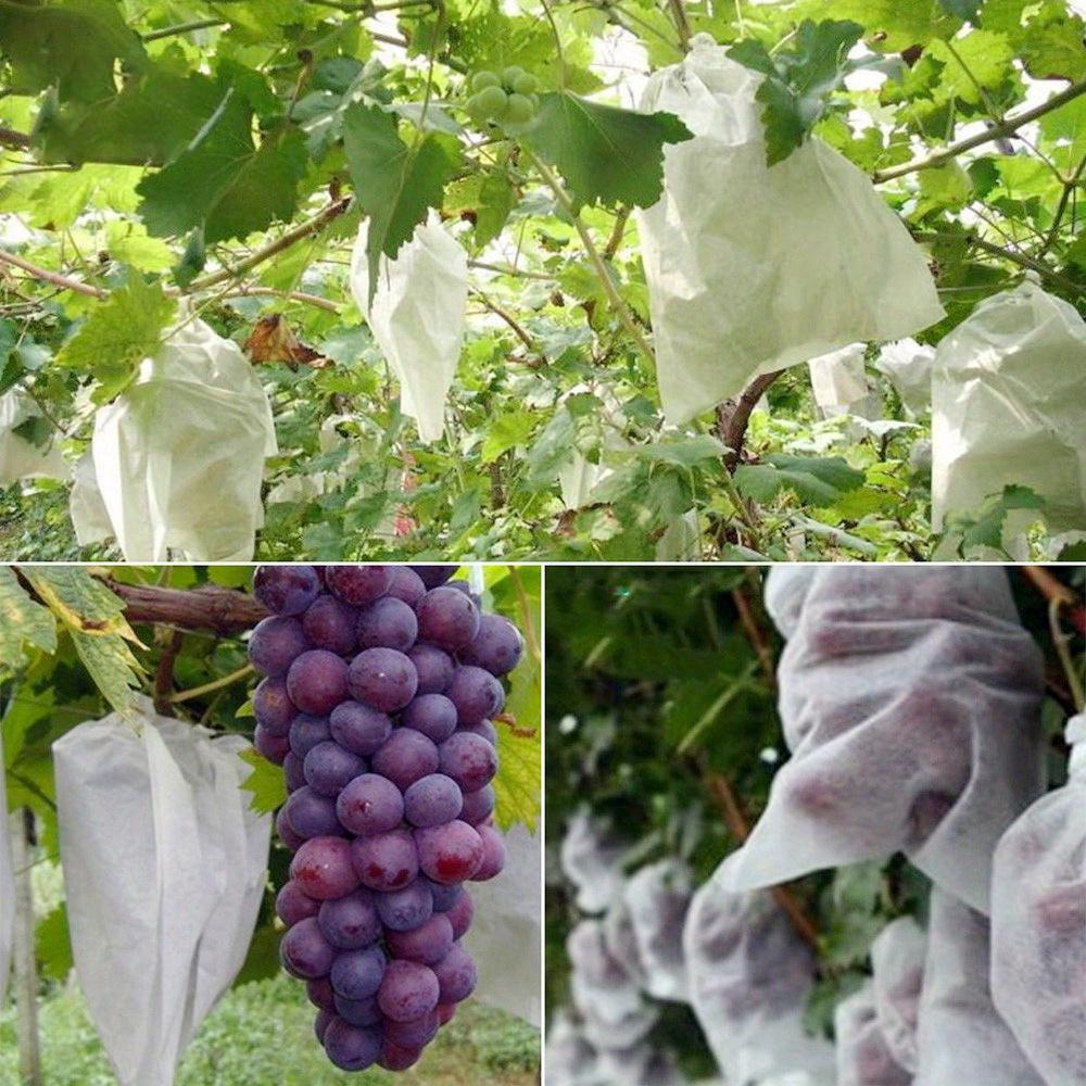 100pcs Mesh Fruit Protection Bag - Durable Non-woven Fabric Covered - Perfect for Vineyard and Home Garden Planting, Plant Protection Cover
