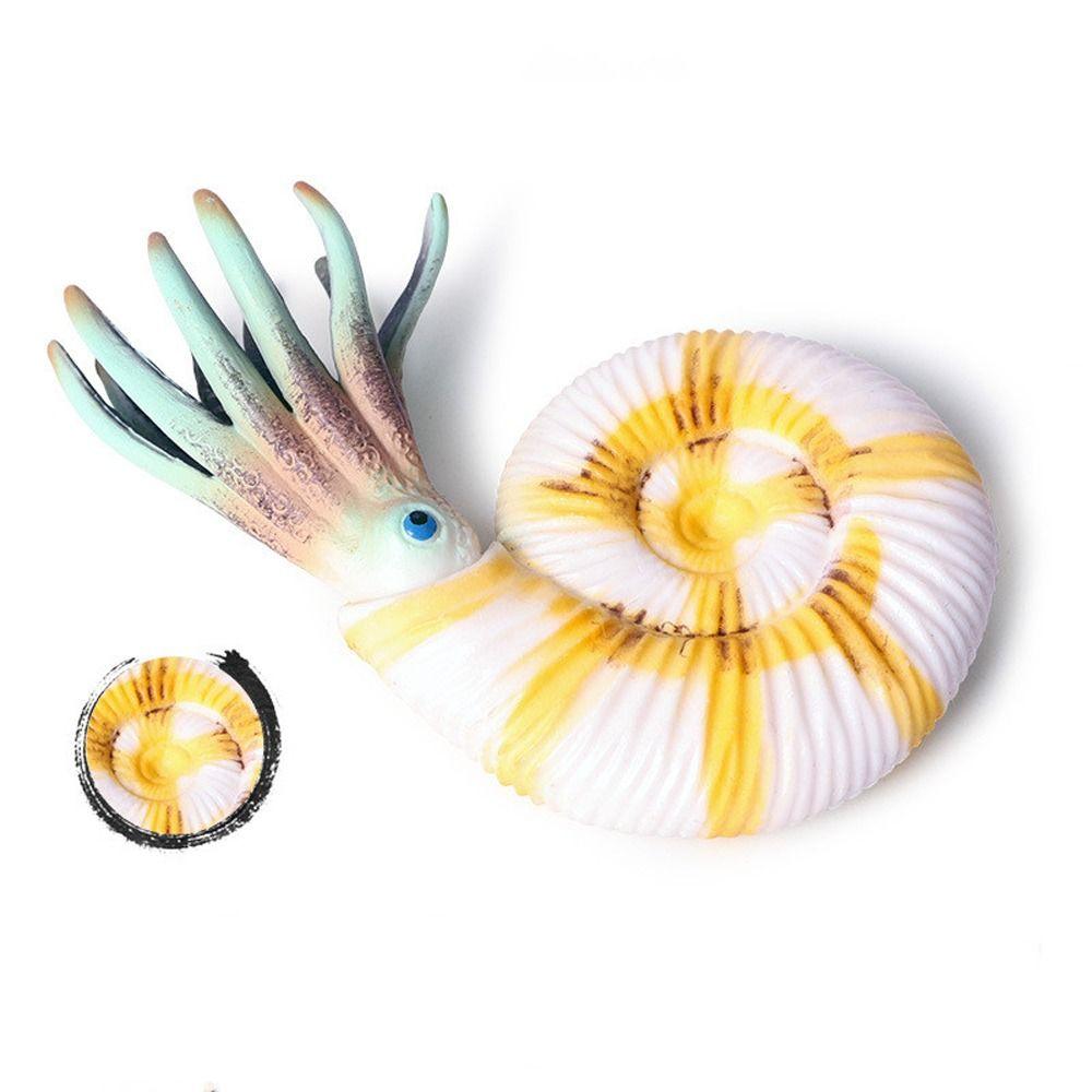 Simulation Ozeantier Figur Nautilus Trilobit Figur Meeresleben Figuren Kinderspielzeug