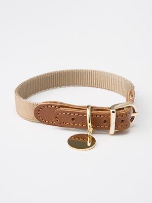 Köpek – Köpek Tasmaları ve Tasma Kayışları