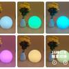 Special Outdoor LED Garden Ball Light Desk Lamp Bar Restaurant Cafe Desktop Atmosphere Decoration Waterproof Atmosphere Light