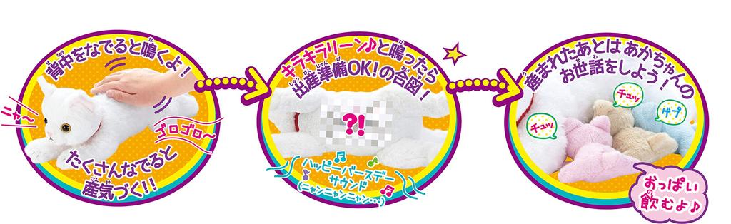 Dream Pet: I Gave Birth to a Cat