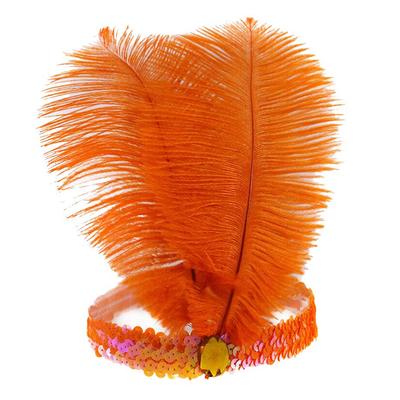 Cerchietto con piume e paillettes, copricapo indiano con piume, accessori per capelli per feste e feste