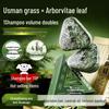 Zunlan Cypress Leaf & Usman Grass Shampoo Bar