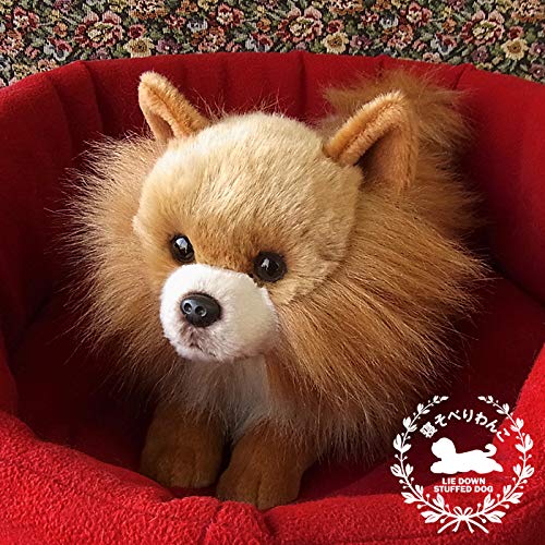 Ninian and Kino Plush Dog, Realistic Lying Down Puppy, Approximately 40cm Long, Pet (Pomeranian)