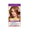 L'Oreal Paris Excellence Hair Dye R Cream Type 8WB