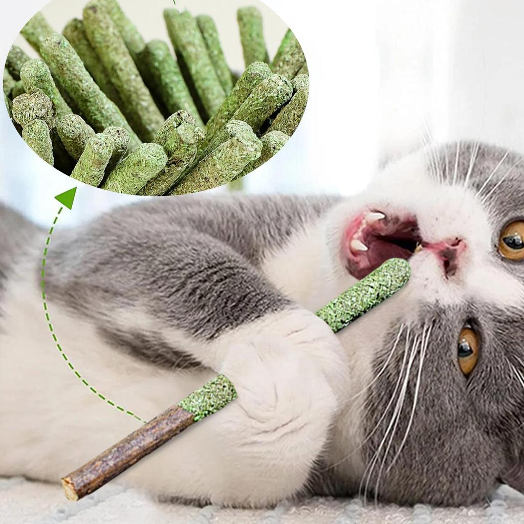 1 Bag Cat Teeth Cleaning Cat Grass Stick Grass For Cat Natural Grass Molar Rod Catnip Toys Sticks Indoor Kitten Hairball Removal