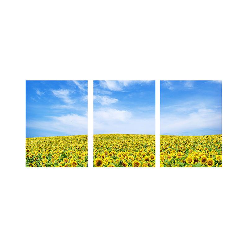 

Новий триптих, декоративний живопис, художня тканина, домашній фон, прикраса стіни, підвісна картина 15*21cm