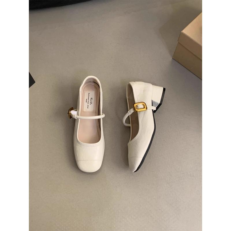 Shallow Single Shoes Women's Thick Heel Spring New Small Leather Shoes Retro Medium Heel Mary Jane Shoes
