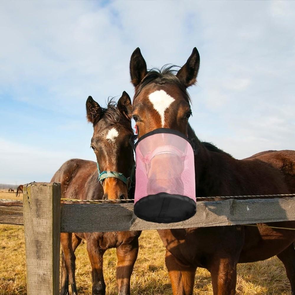 Mehrfarbiger auslaufsicherer Futterbeutel für Pferde Verstellbare elastische Weidemaske Atmungsaktives Netz Futterbeutel für Pferde Pferdepflege