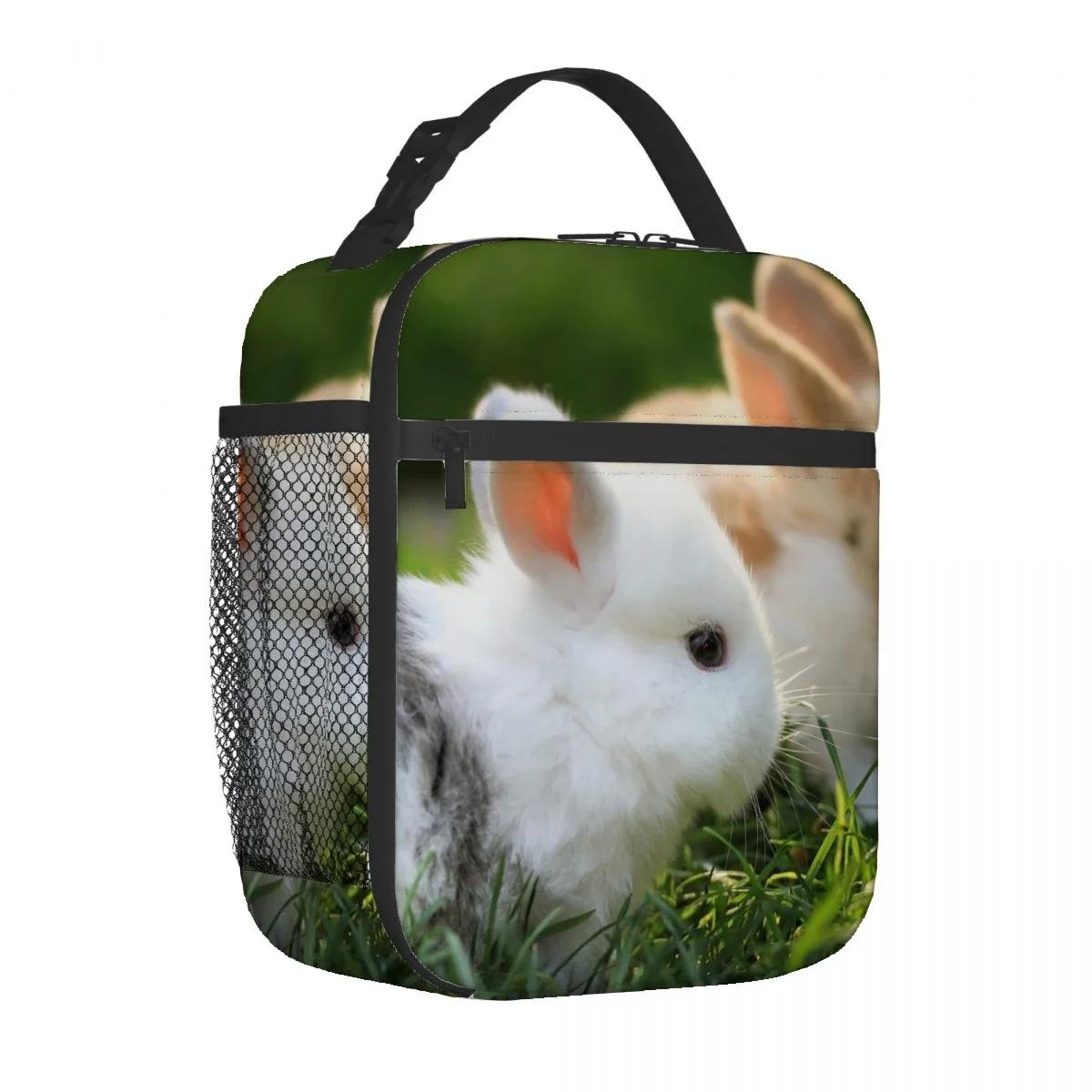 

Сумка для ланча в виде кролика и животного, портативная, из алюминиевой фольги, утолщенная, изолированная, подарочная, водонепроницаемая, сумки для ланча 26x21x11CM серебряный