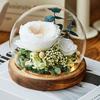 Eternal Flower Rose Glass Cover Finished Gift Box Valentine's Day Wedding Creative Gift for Girlfriend Eternal Flower Ornament