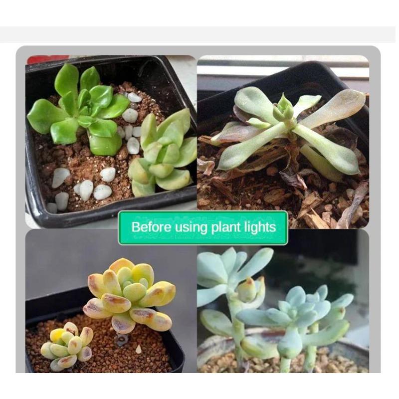 5V LED Grow Light Full Spectrum Plant Lamp with Flexible Hose Indoor Greenhouse Phyto USB Lamp Flower Seedling Hydroponic Light