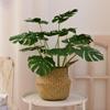 Nordic Artificial Bonsai: Creative Dried Flower Arrangements for Home and Office Decor
