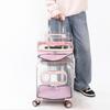 Portable Cat Bag 2 Layers Design for Outdoor Pet Trolley Case Transparent Panoramic Transport Cage Multifunctional Cat Handbag