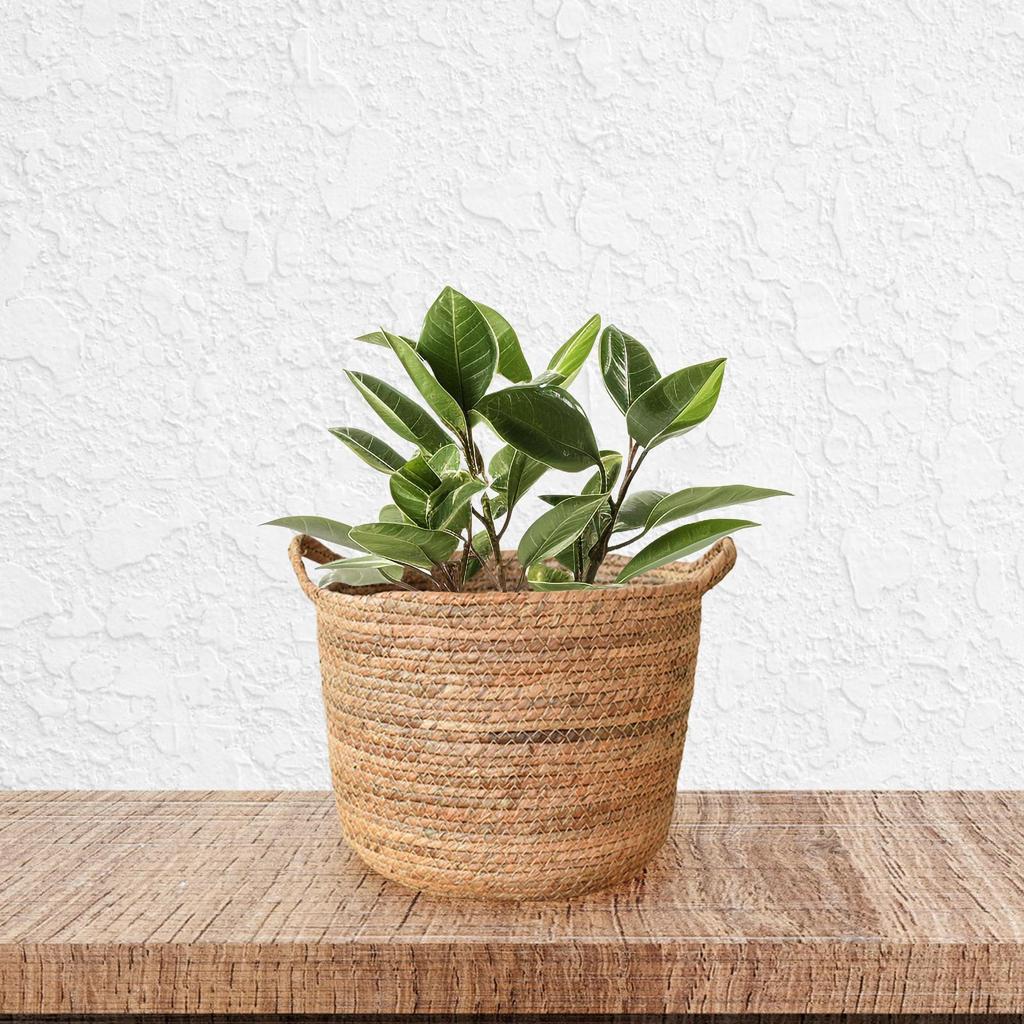 Woven Plant Basket Flower Pots Decorative Large Capacity Holder Storage