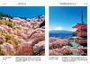 I Want To Go In the Most Beautiful Season: 365 Days of Stunning Views In Japan