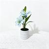 Simulated Artificial Flowers, Straight Tube Black Sand, Two Types of White Lilies, Indoor Artificial Green Plants, Small Pot Plant Decorative Pieces