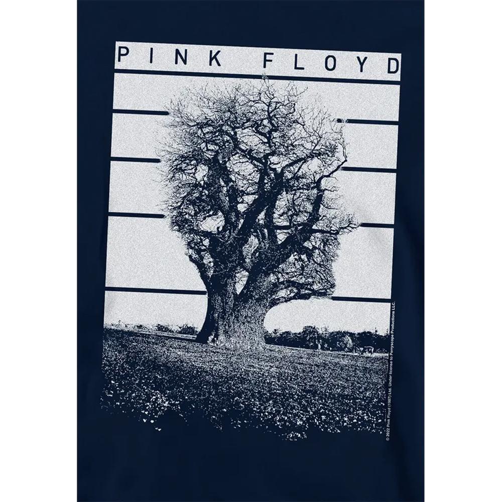 Pink Floyd Childrens/Kids Tree Of Half Life Hoodie