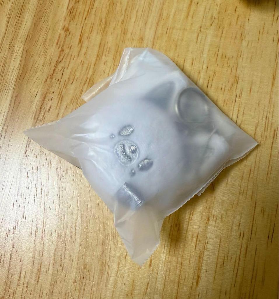 [USED] StrayKids Keyring Silver Ien Foxxy