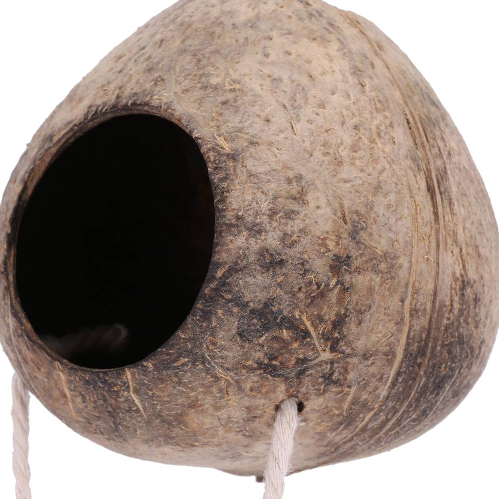 M-Modern-100% Natural Coconut Husk Coconut Hide With Ladder For Bird Shell Hideaway Durable Habitat