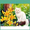 5d Painting Diamond Diy Animal Cat Embroidery Sale Full Round Diamond Mosaic Cross Stitch