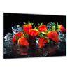 TEMPERED GLASS CUTTING BOARD 30x22 FRUIT