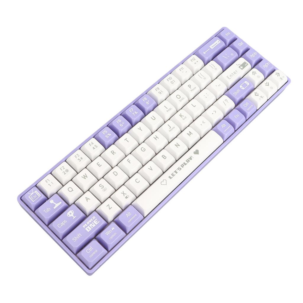68 Keys Wired Mechanical Gaming Keyboard Hot Swappable Dynamic Backlighting Red Switch Mechanical Keyboard for Gaming