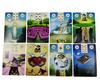 Pagan Lenormand Oracle Cards Full English Classic Board Games