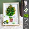 DIY Handmade 3D Preserved Flower Photo Frame Craft Kit