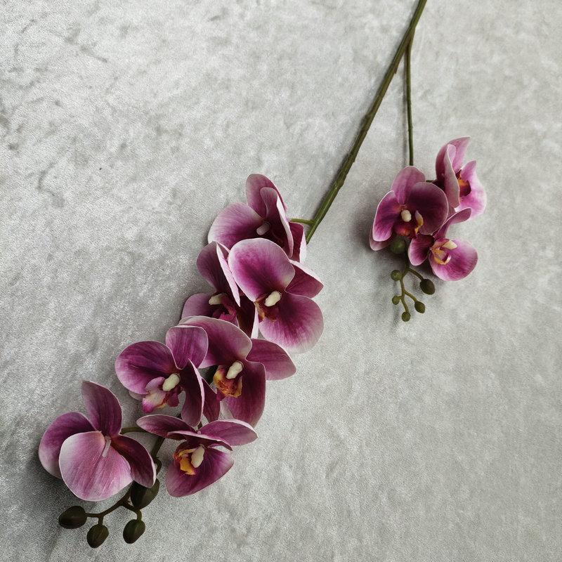 Artificial 3d Printed Butterfly Orchid With Realistic Texture For Wedding Decor And Home Use