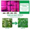 DC 5V USB LED Grow Light Full Spectrum 1-5m Plant Light Grow LED Strip Phyto Lamp for Vegetable Flower Seedling Grow Tent