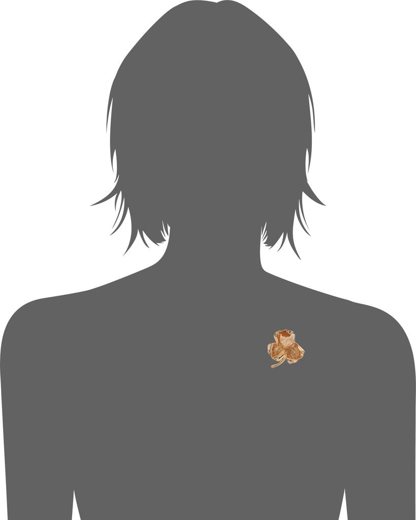 Grosse Wild Rose Brooch Gold GJ30546