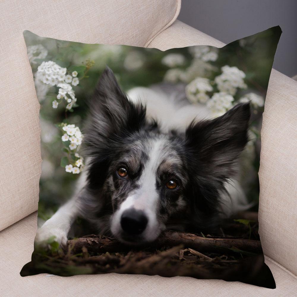 

Милый питомец животное собака принт наволочка шотландский бордер колли подушка чехол диван украшение для автомобиля 40x40cm