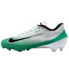 Nike Vapor Speed 3 White Stadium Green Unisex Sneakers Metallic-Silver Black HM8849-100