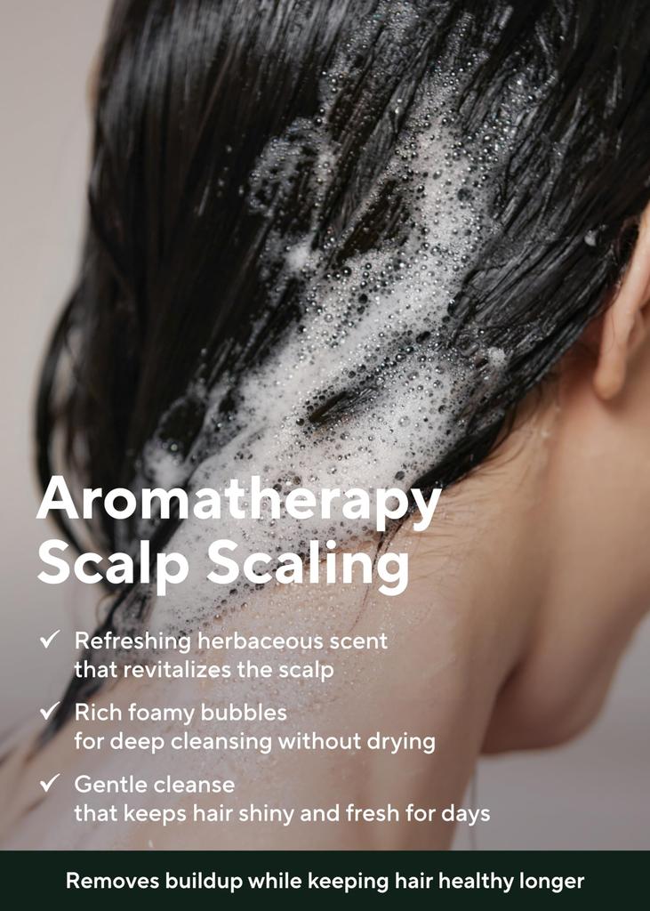Organic Oily Scalp Shampoo 400ml Tea Tree Oil Control Oily Scalp Refreshing Naturally Derived Cleansing Teatree Purifying Shampoo Korean Cosmetics