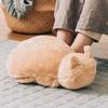 This cat hot water bottle, a cat-shaped, heat-storing hot water bottle, is designed to look like a cat. It's a cute, eco-friendly gift and comes with