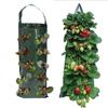 10Hole Grow Bag Strawberry Potatoes Tomatoes Planting Bag Home Garden Seeding Bag Flower Plant Holder Garden Accessories