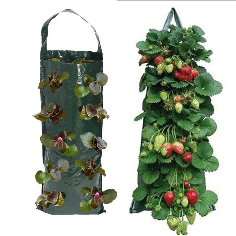 10Hole Grow Bag Strawberry Potatoes Tomatoes Planting Bag Home Garden Seeding Bag Flower Plant Holder Garden Accessories