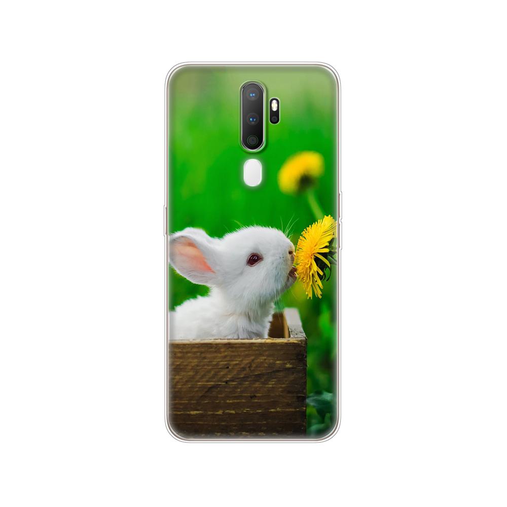 Pouzdro Pro Oppo A9 A5 2020 Pouzdro Měkké TPU Kryt na Zadní Stranu Telefonu Pro OPPOA9 OPPOA5 Coque Silikonové Pouzdro 6.5" Kůže nárazuvzdorná roztomilá